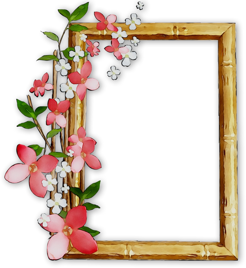 Picture Frames College Mirror Floral Design Clipart