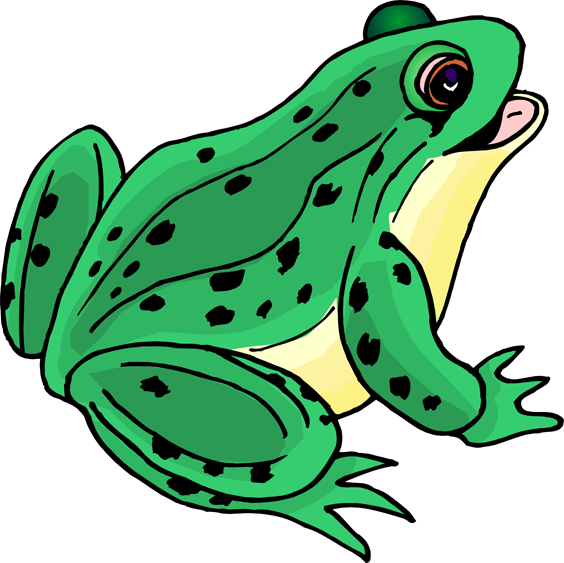Frog For Teachers Images Free Download Clipart