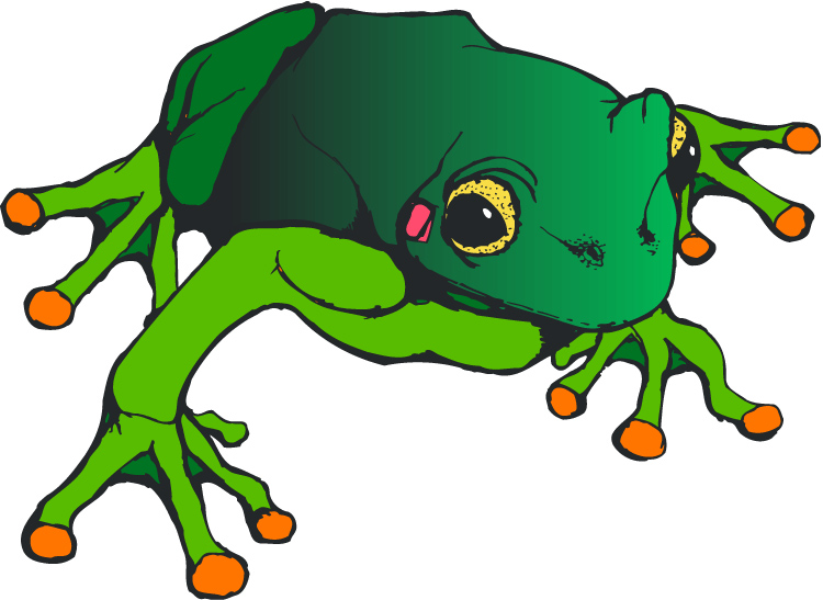 Frog Border Images Hd Photos Clipart