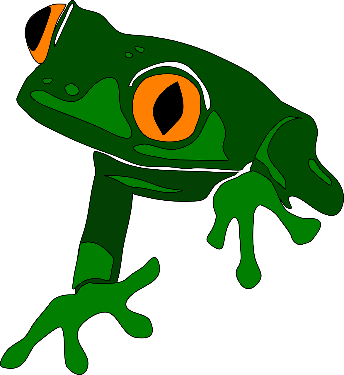 Frog To Use Hd Photo Clipart
