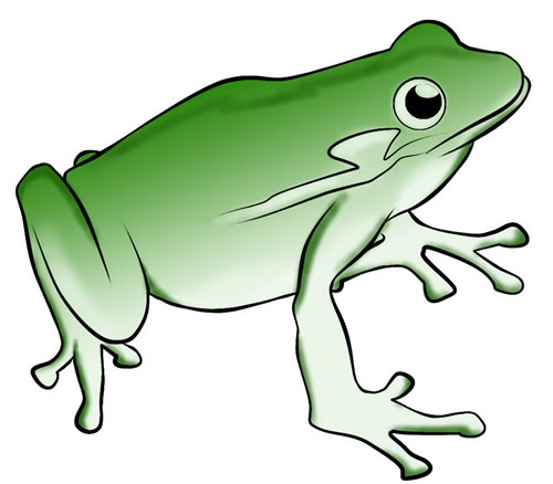 Frog For You Hd Image Clipart
