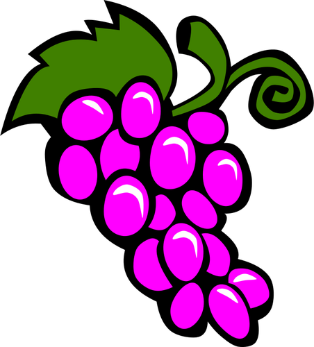 Of Grapes Clipart