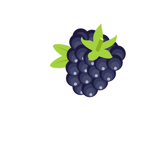 Blackberry Fruit Clipart