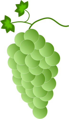 Green-White Grapes Clipart