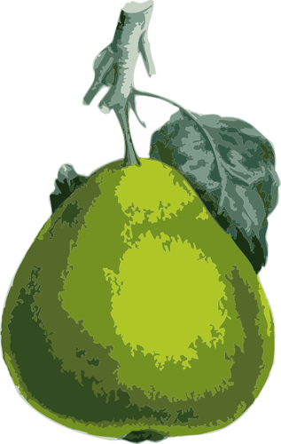 Of Pear Clipart