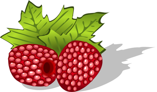 Raspberries Clipart