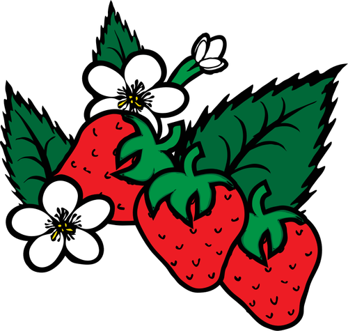 Of Freshly Picked Strawberries Clipart