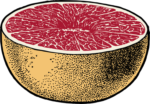 Of Red Grapefruit Cut In Half Clipart