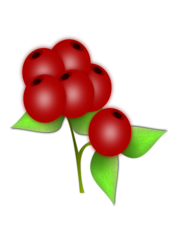 Of Leaves And Berries Of A Holly Clipart