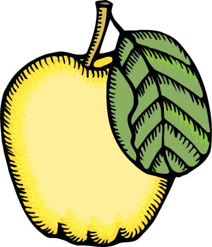 Of Quince Clipart