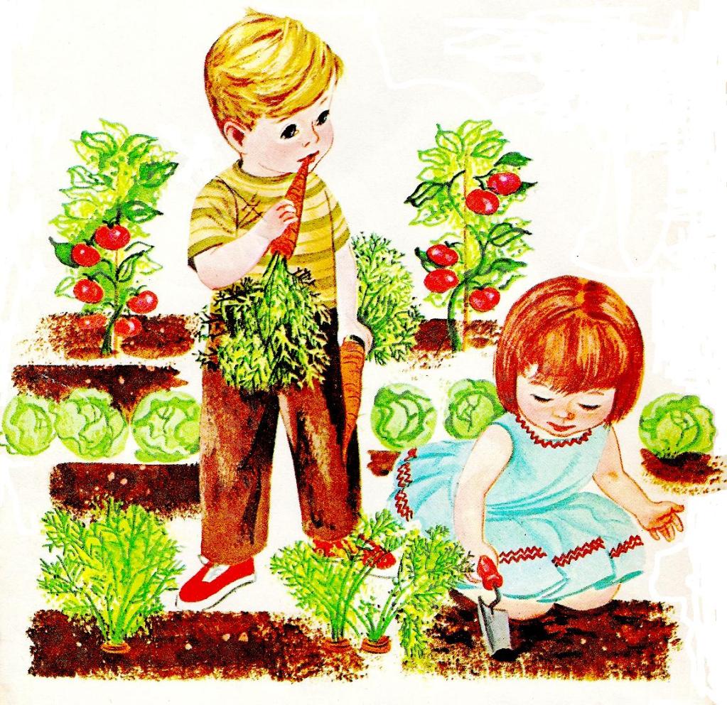 Vegetable Garden Transparent Image Clipart