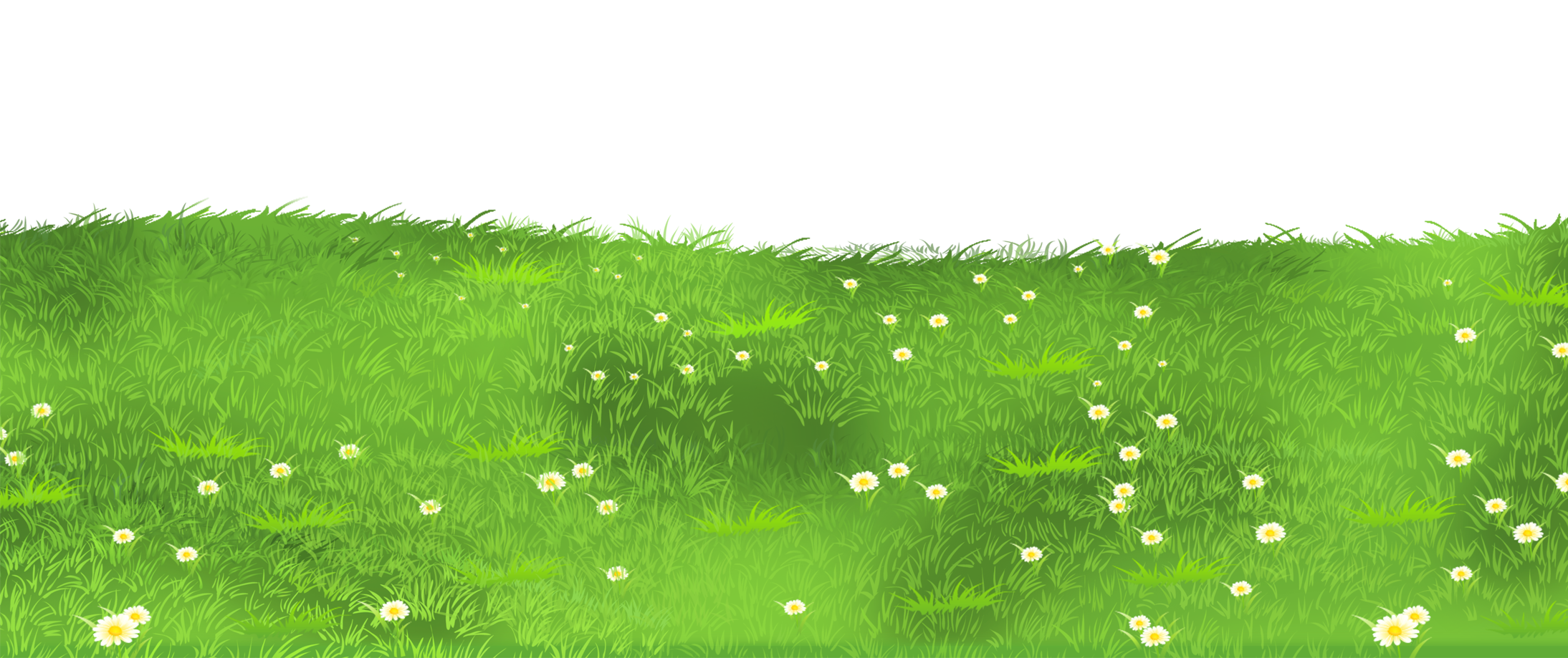 Lawn Grasses Grass With Daisies Ground Clipart