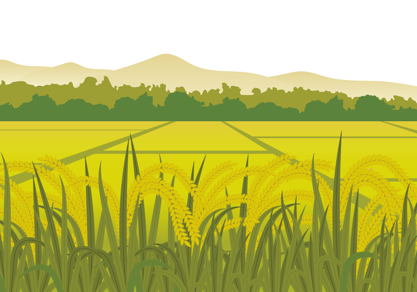 Field Countryside Fields Euclidean Vector In The Clipart