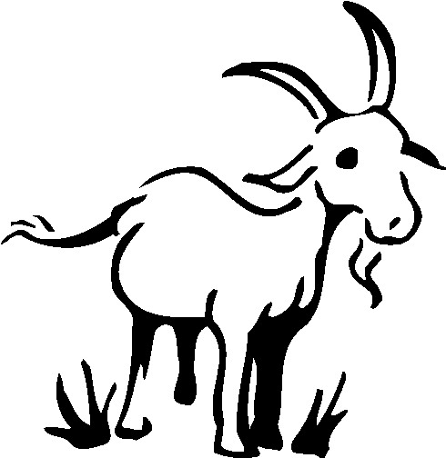 Goats Download Png Clipart