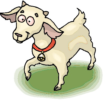 Baby Goat Hd Photos Clipart