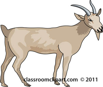 Goat Vector Goat Graphics Png Image Clipart