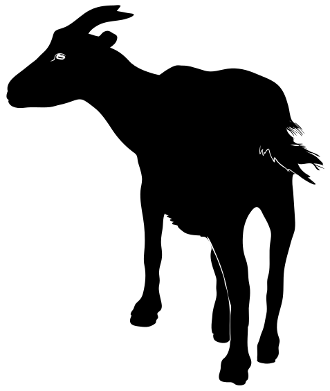 Goat Vector Goat Graphics Image Free Download Clipart