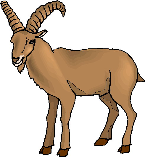 Goat For You Hd Photo Clipart