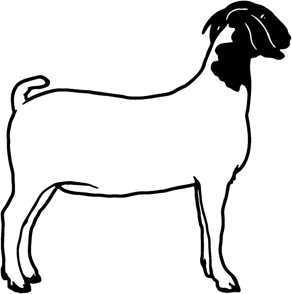 Dairy Goats Danaspda Top Png Image Clipart
