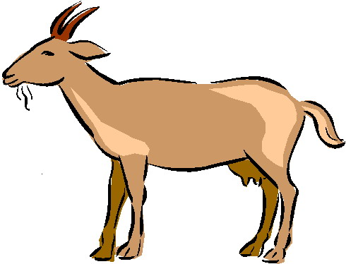 Goat Download Images Hd Image Clipart