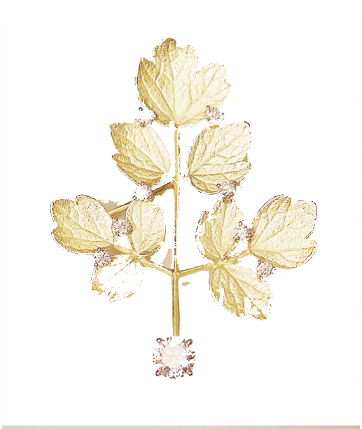 Leaf Jewellery Gold Jewelry PNG File HD Clipart