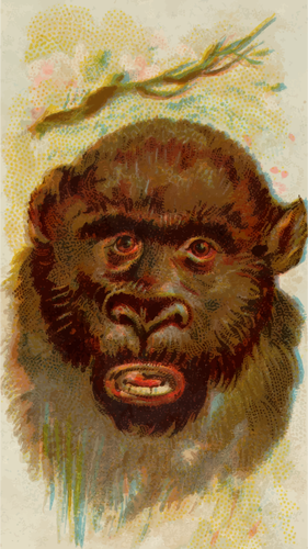 Gorilla'S Portrait Clipart