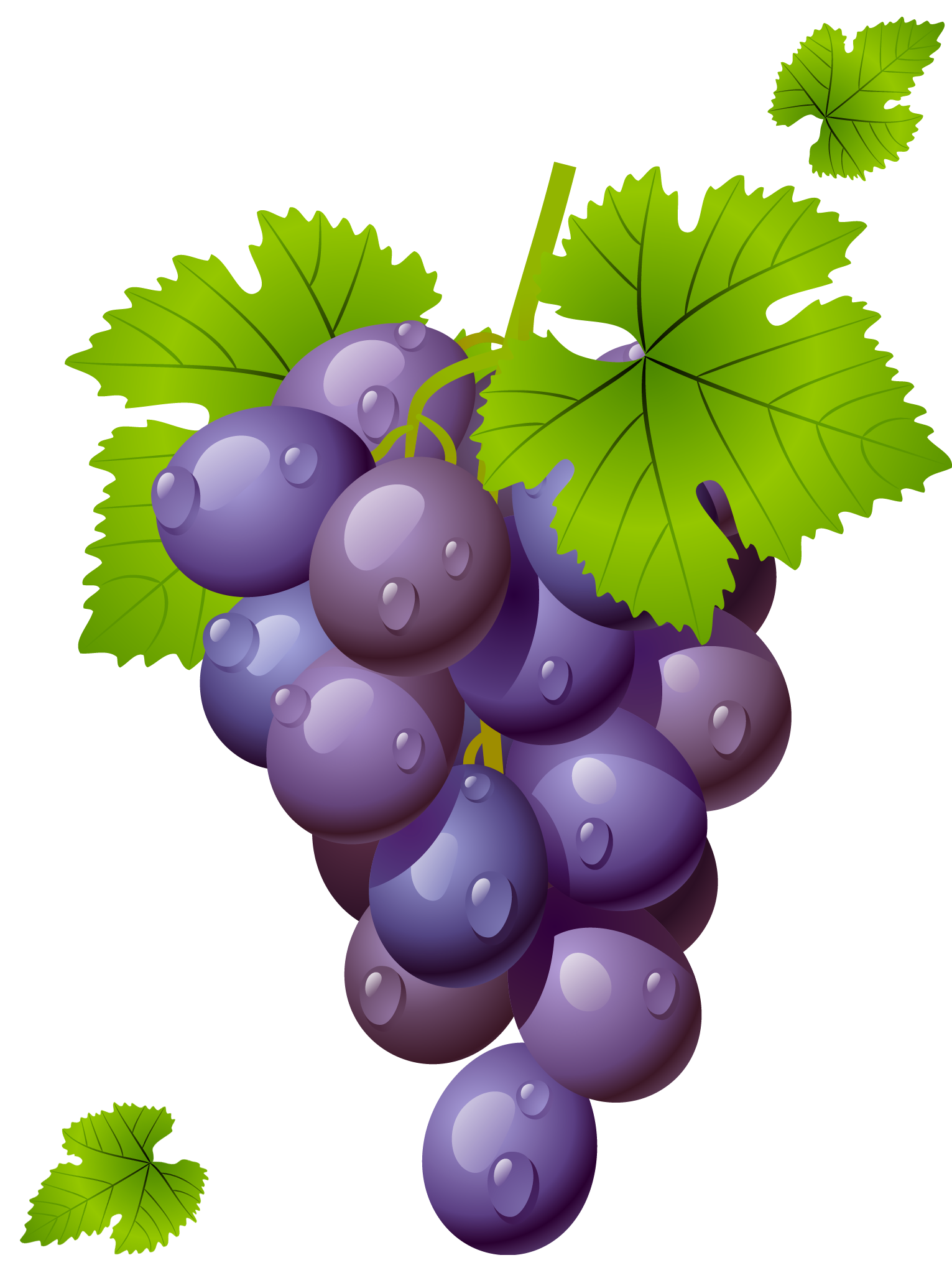 Grapes Grape Grapeclipart Fruit Photo Transparent Image Clipart
