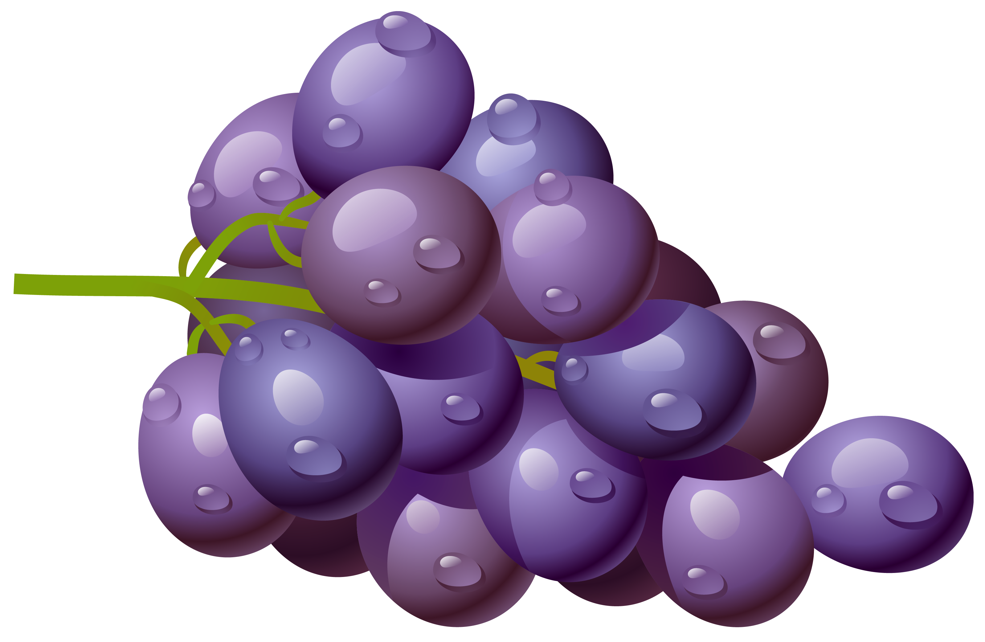 Grapes Grape Download Fruit Of Fruits Apple Clipart