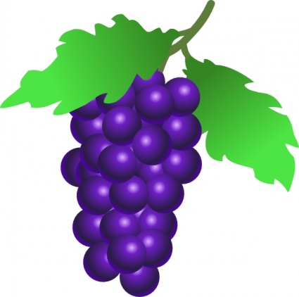 Grapes Black And White Images Hd Photo Clipart