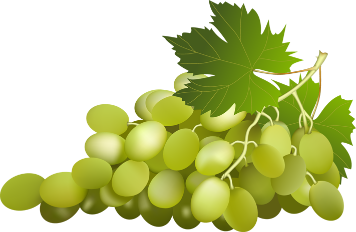 Grapes Vine Grape With Vine Leaf Id Clipart