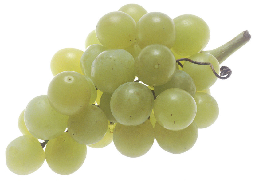 Grapes Image Png Clipart
