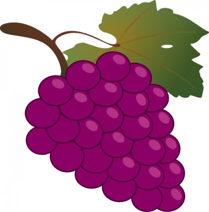 Wine Grapes Images Hd Photos Clipart