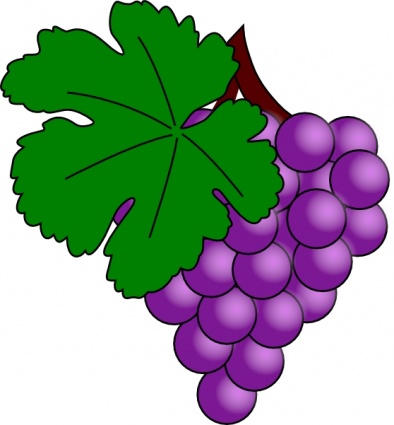 Grapes Vine Images Transparent Image Clipart