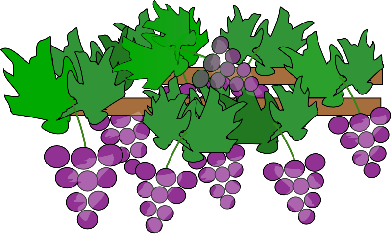 Grapes To Use Png Image Clipart