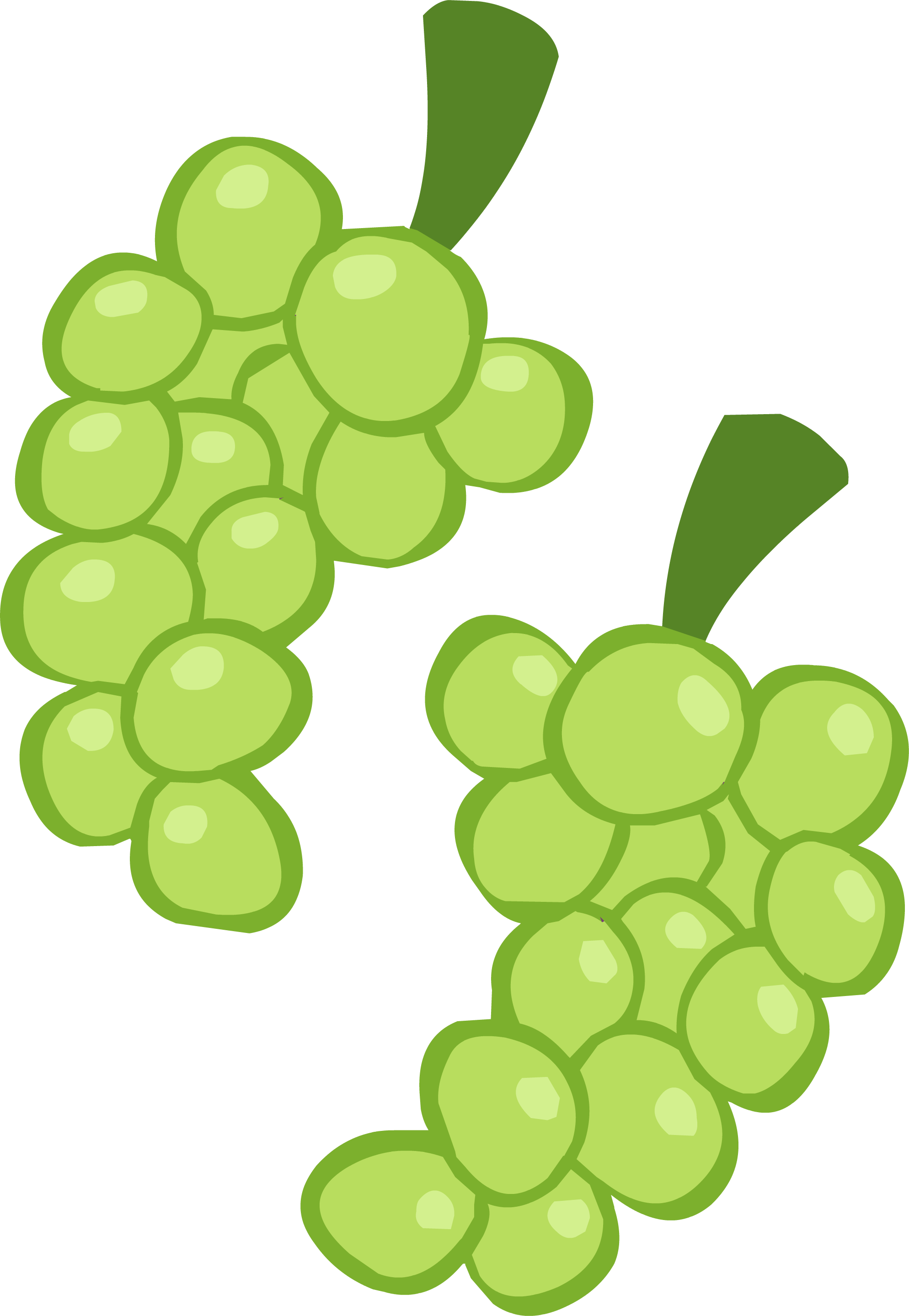 Ponymaker Grapes Images At Vector Image Clipart