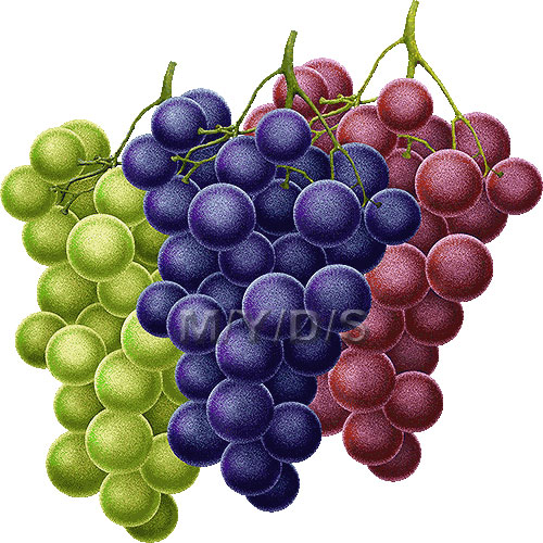 Grapes Image Hd Image Clipart