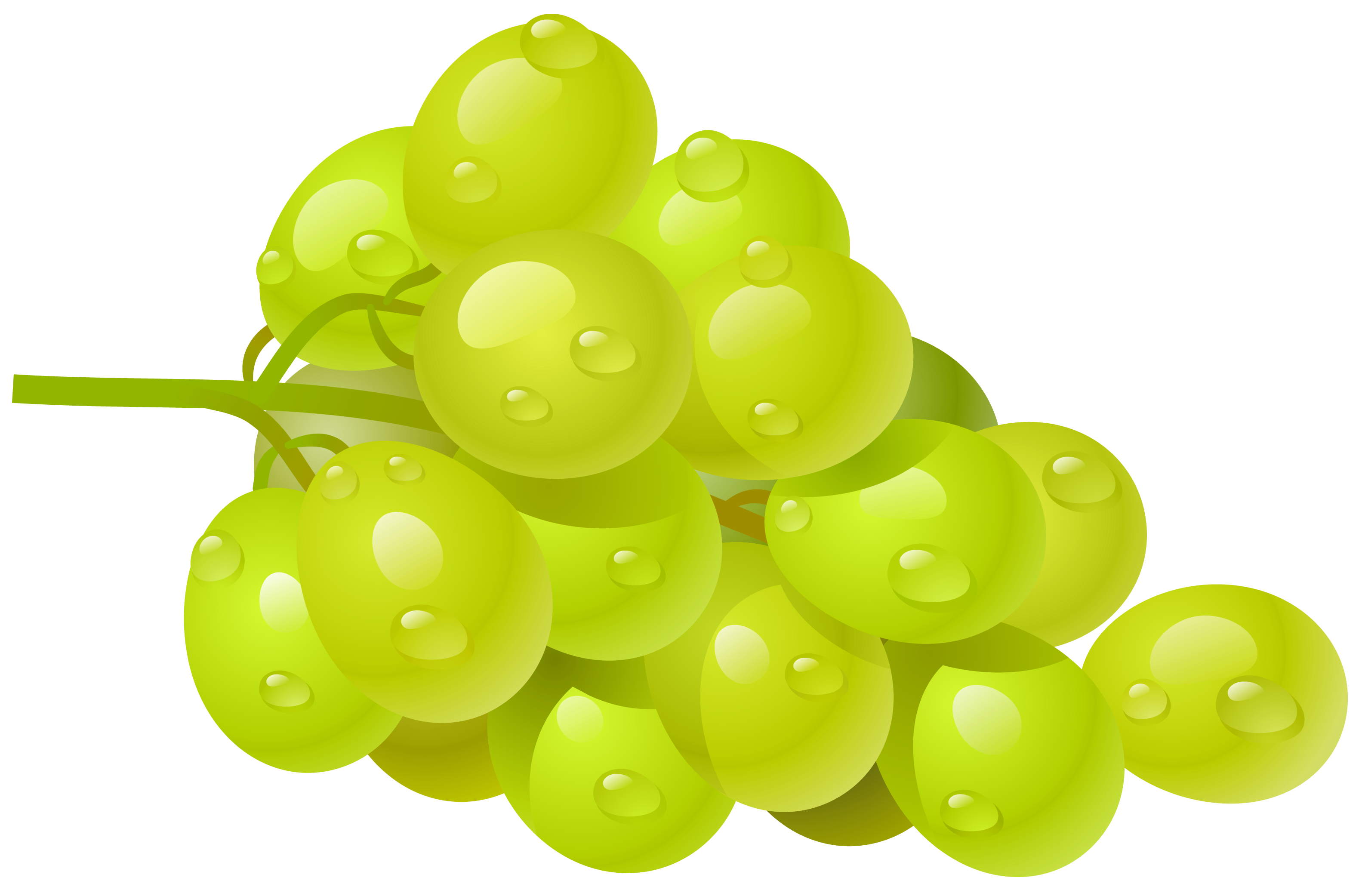 Grapes Images Image Hd Photos Clipart