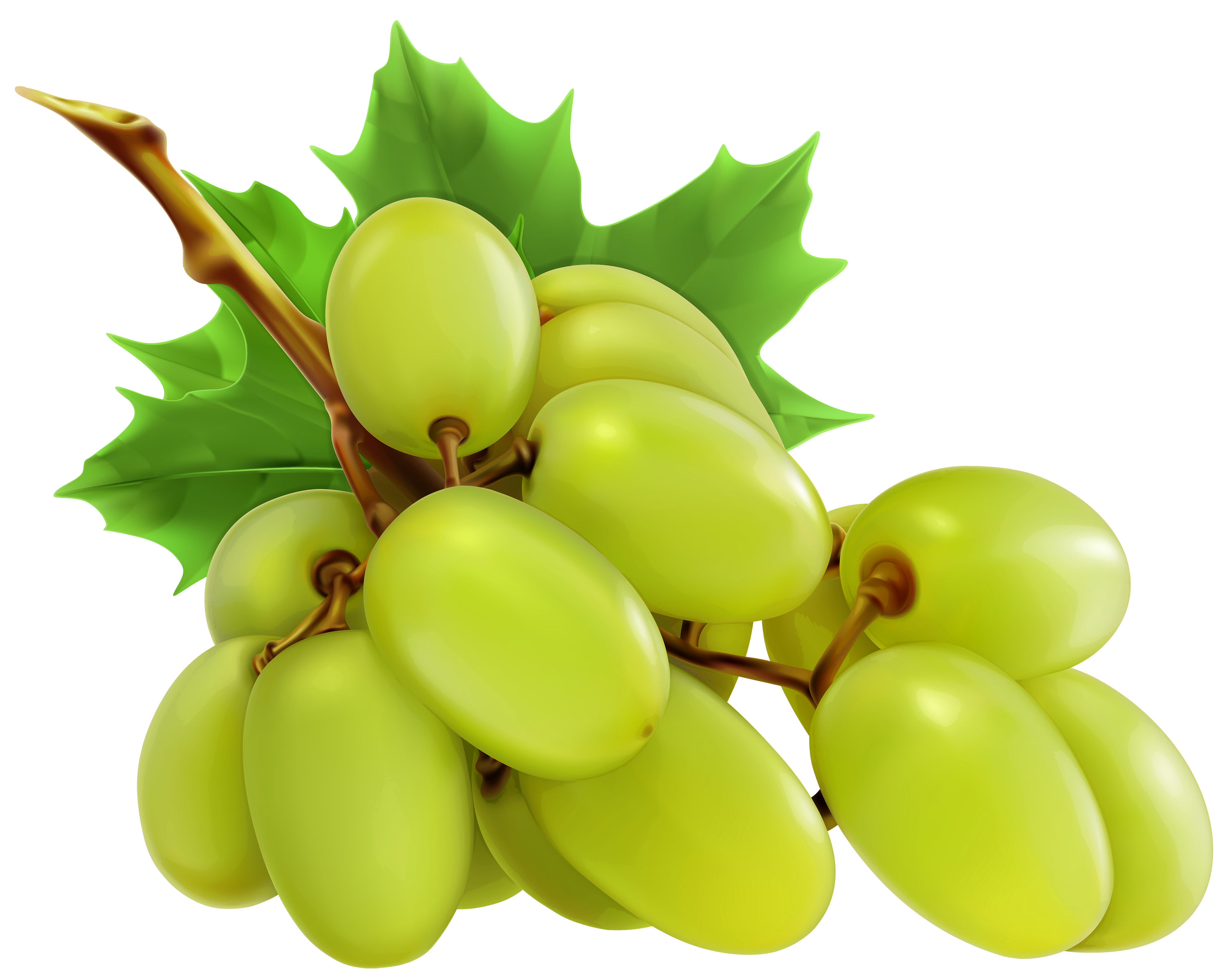 White Grapes Web Free Download Png Clipart