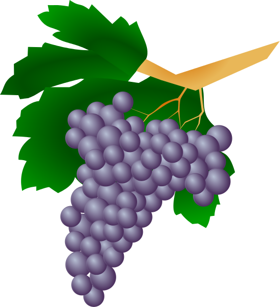 More Grapes Download Clipart Clipart