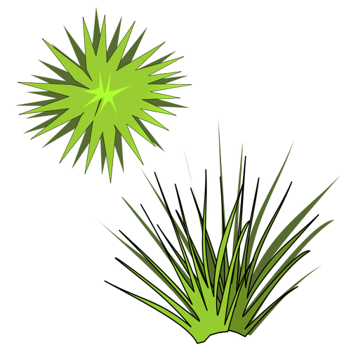 Of Green Spiky Plant With Green Sun Above Clipart
