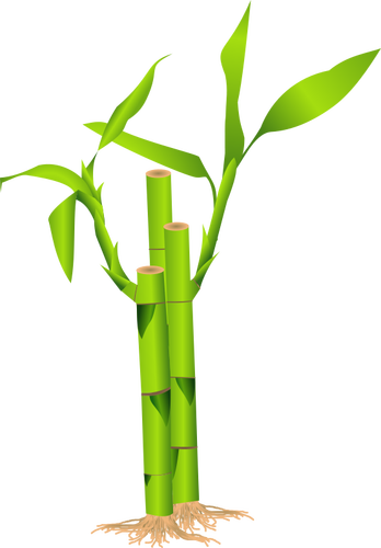 Closeup Of Bamboo Stalk Clipart