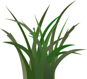 Green Grass Vector For You Png Image Clipart