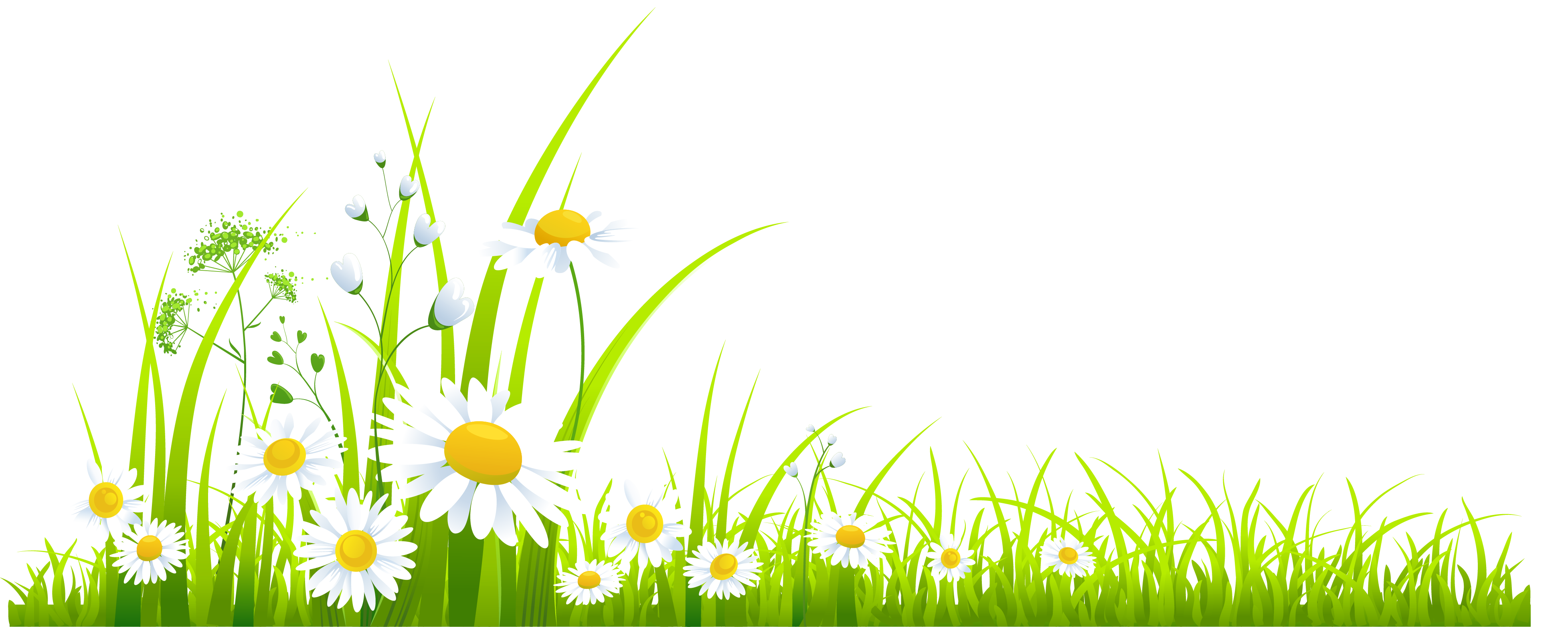 Spring Grass Free Download Clipart
