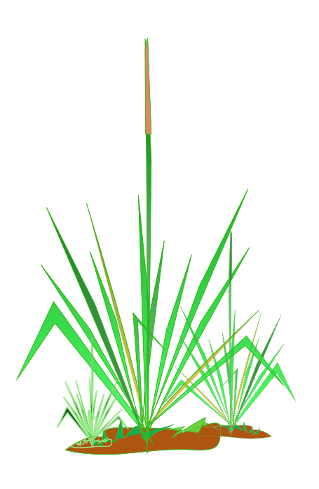Grass To Use Clipart Clipart
