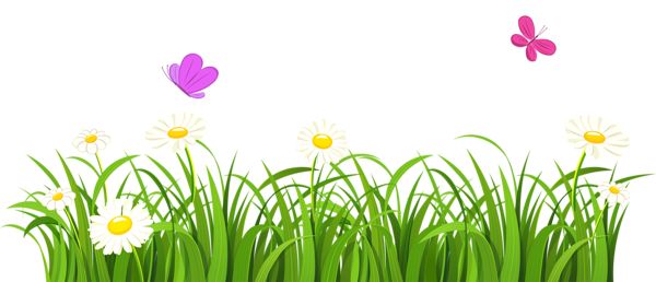 Grass Vector Grass Graphics Png Images Clipart