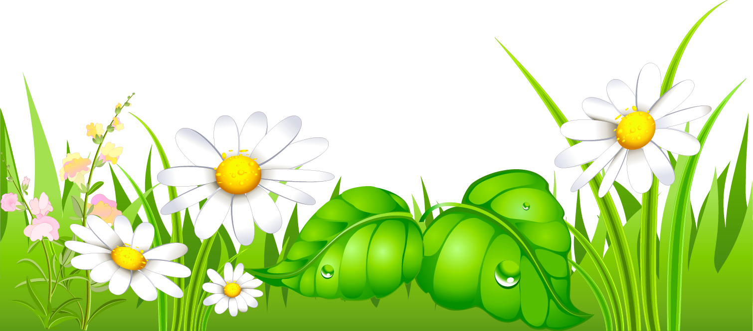 Grass Image Png Image Clipart