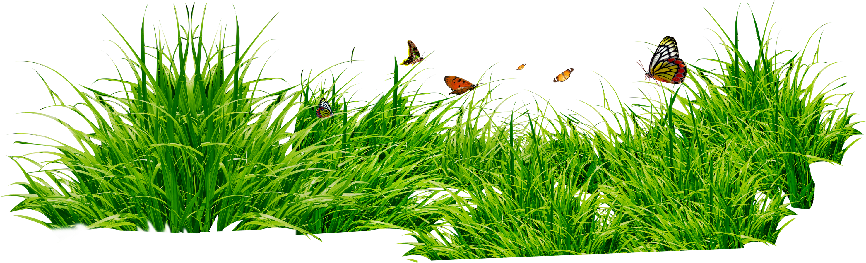 Grass Png Image Clipart