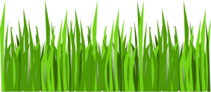 Grass Cook Out At Clker Vector Clipart