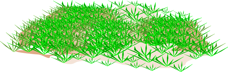 Grass To Use Download Png Clipart
