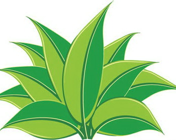 Grass Free Download Png Clipart